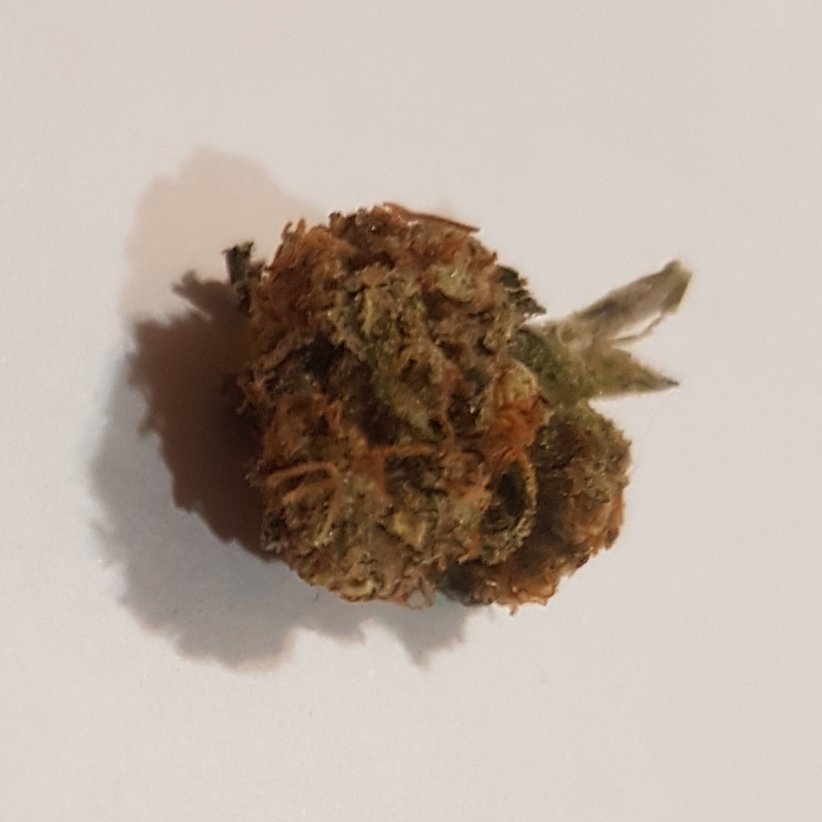 Funky Glueberry OG Strain THC Cannabis Testing Simplified