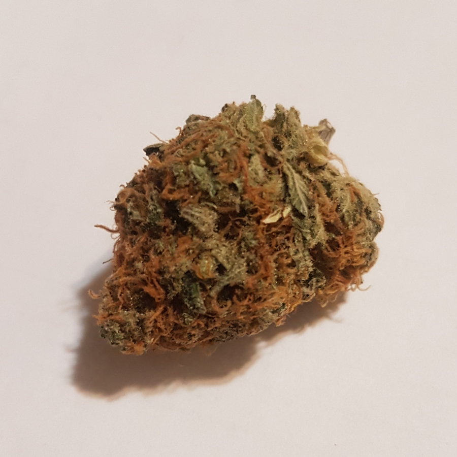 Mozzarella Strain THC Cannabis Testing Simplified